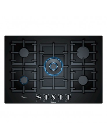 Placas PPQ7A6B90 BOSCH