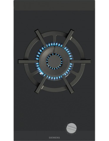 Placas ER3A6AI10 SIEMENS