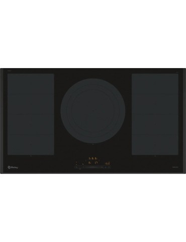Placas 3EB999LH BALAY